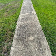 Sidewalk Cleaning In Panama City, FL 0